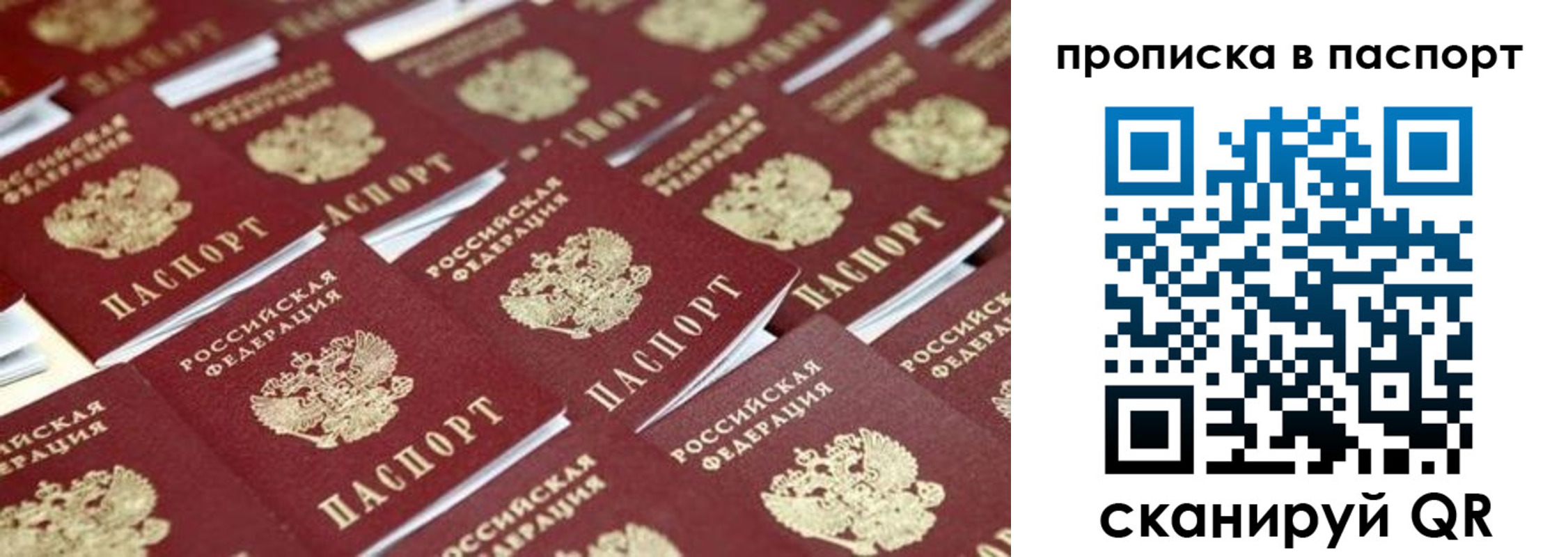 прописка гарантия в Чебоксарах